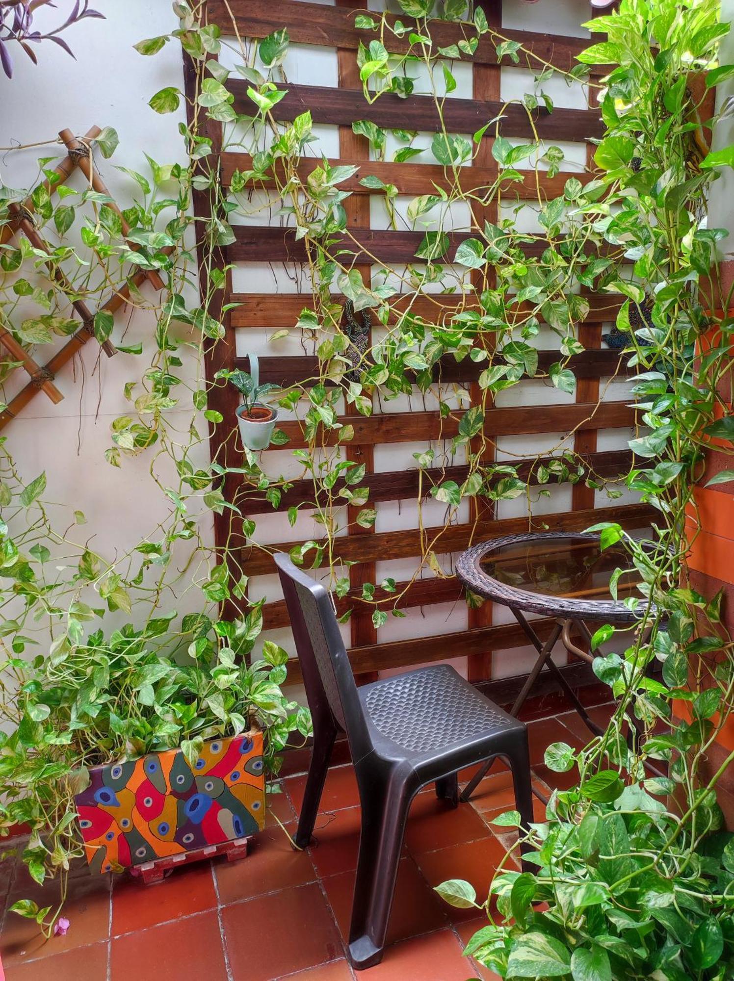 Séjour chez l'habitant Balcones De Venecia *